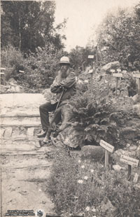 Э.Л. Вольф в дендросаду. Фото из архива Т. Зуевой, 1910-е гг.