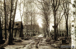 Вид с территории Фарфоровского кладбища на школу No 331. Фото из фондов ЦГА КФФД СПб. 1940 г.