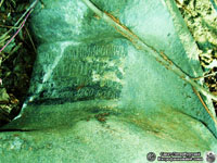 Надгробие Н. В. Маркова - голгофа из серого гранита. Фото В. А. Минина, 1.V.2006 года.