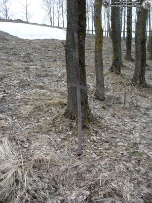 Сломанный и выдернутый из земли ингерманландский крест. Фото Н.В. Лаврентьев, 16.IV.2011 года.