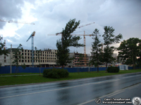 Незаконное строительство Экспофорума. Фото Н.В. Лаврентьева, 17.VII.2012 года.