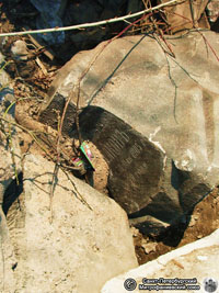 Надгробный памятник Т. Н. Волкова – голгофа из серого гранита c красными вкраплениями. Фото В. А. Минина, 28.IV.2006 года.